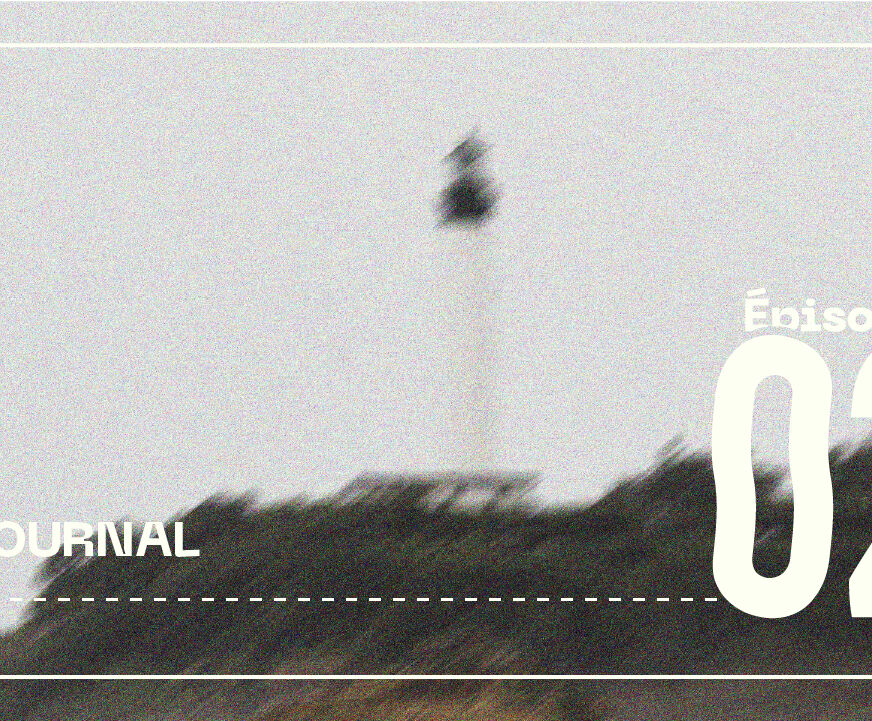 minia-journal_H2