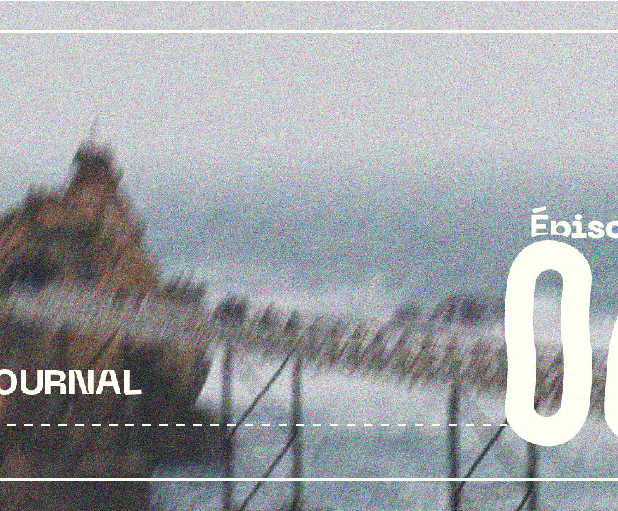 minia-journal_H6