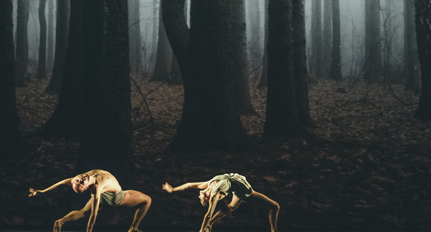 FAUN 4(c)Filip Van Roe - Opera Ballet Vlaanderen copie